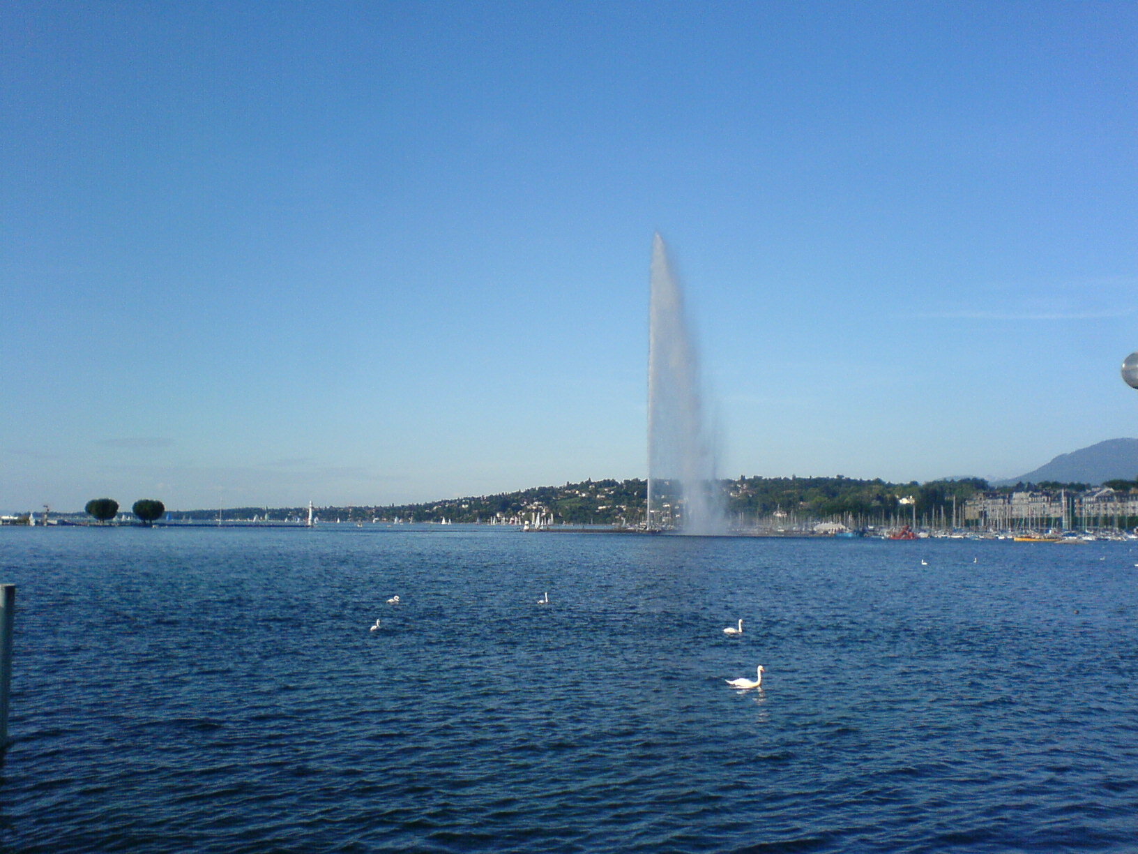 DSC01870