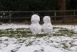 31.snowmans